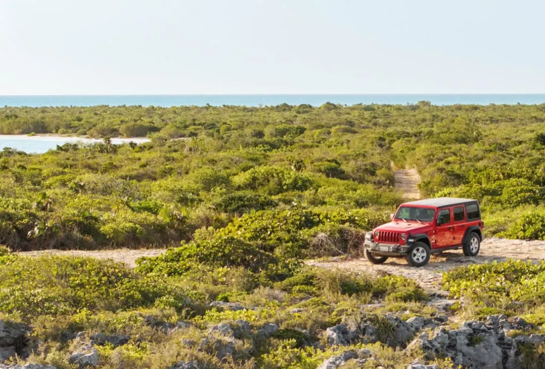A red Wrangler on a coastal track above rocky cliffs