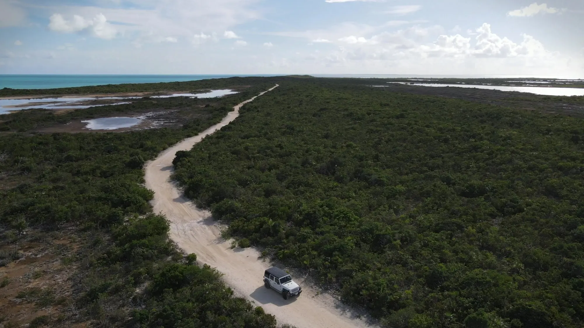A white Jeep Wrangler on a sand track through green brush, turquoise sea on the horizon